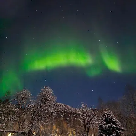 Elvestua House In Nature