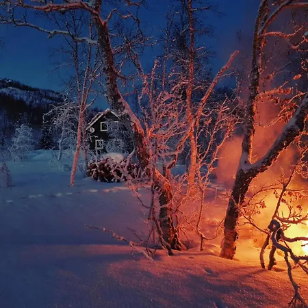Elvestua House In Nature